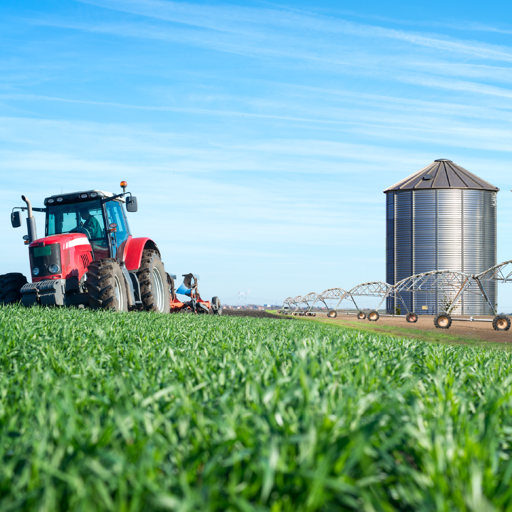 Seguridad Industrial y Control de Riesgos en Plantas Agroindustriales