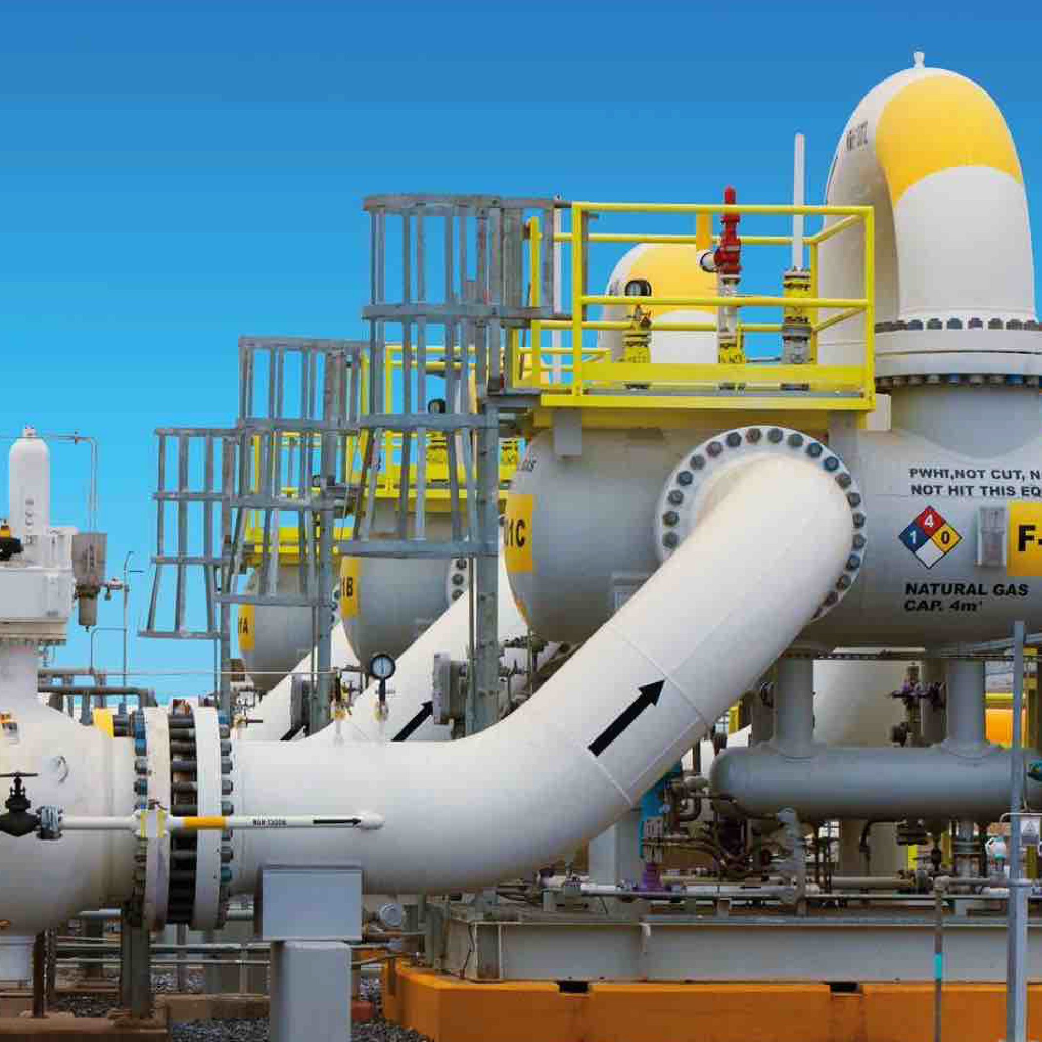 Gestión de Riesgos en Plantas Petroquímicas