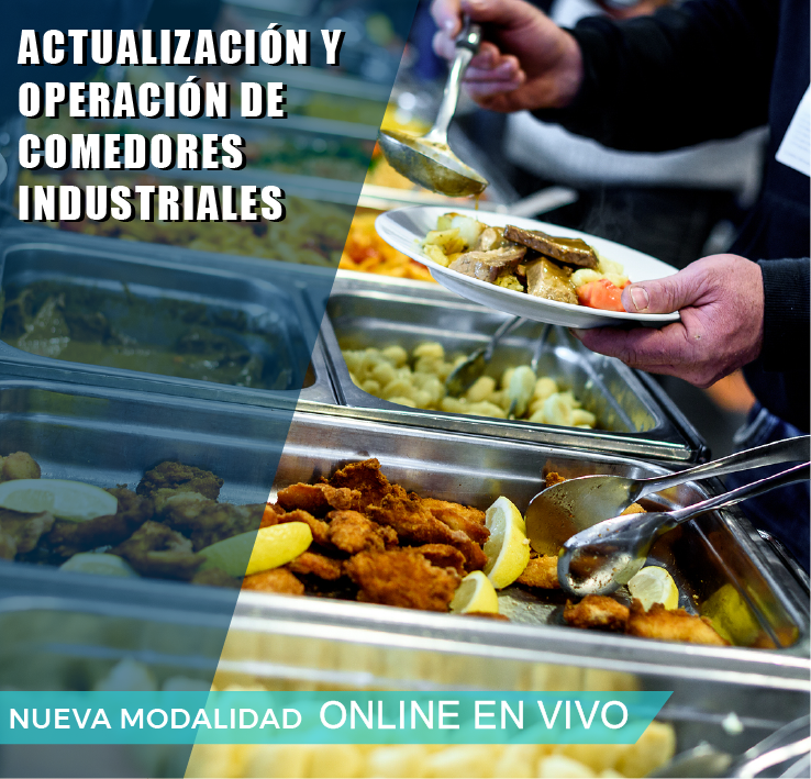 ACTUALIZACION Y OPERACION DE COMEDORES INDUSTRIALES