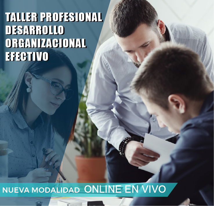 TALLER PROFESIONAL: DESARROLLO ORGANIZACIONAL EFECTIVO