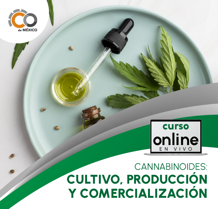 CANNABINOIDES: COMERCIALIZACION, ALMACENAJE Y MANEJO EFECTIVO