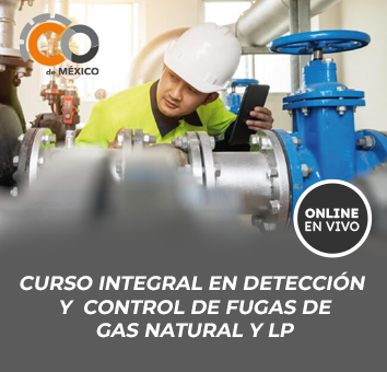 Curso Integral en Detección y Control de Fugas de Gas Natural y LP
