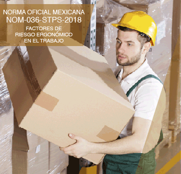 CURSO NORMA OFICIAL MEXICANA NOM -036-1-STPS-2018 FACTORES DE RIESGO ERGONOIMCO EN EL TRABAJO