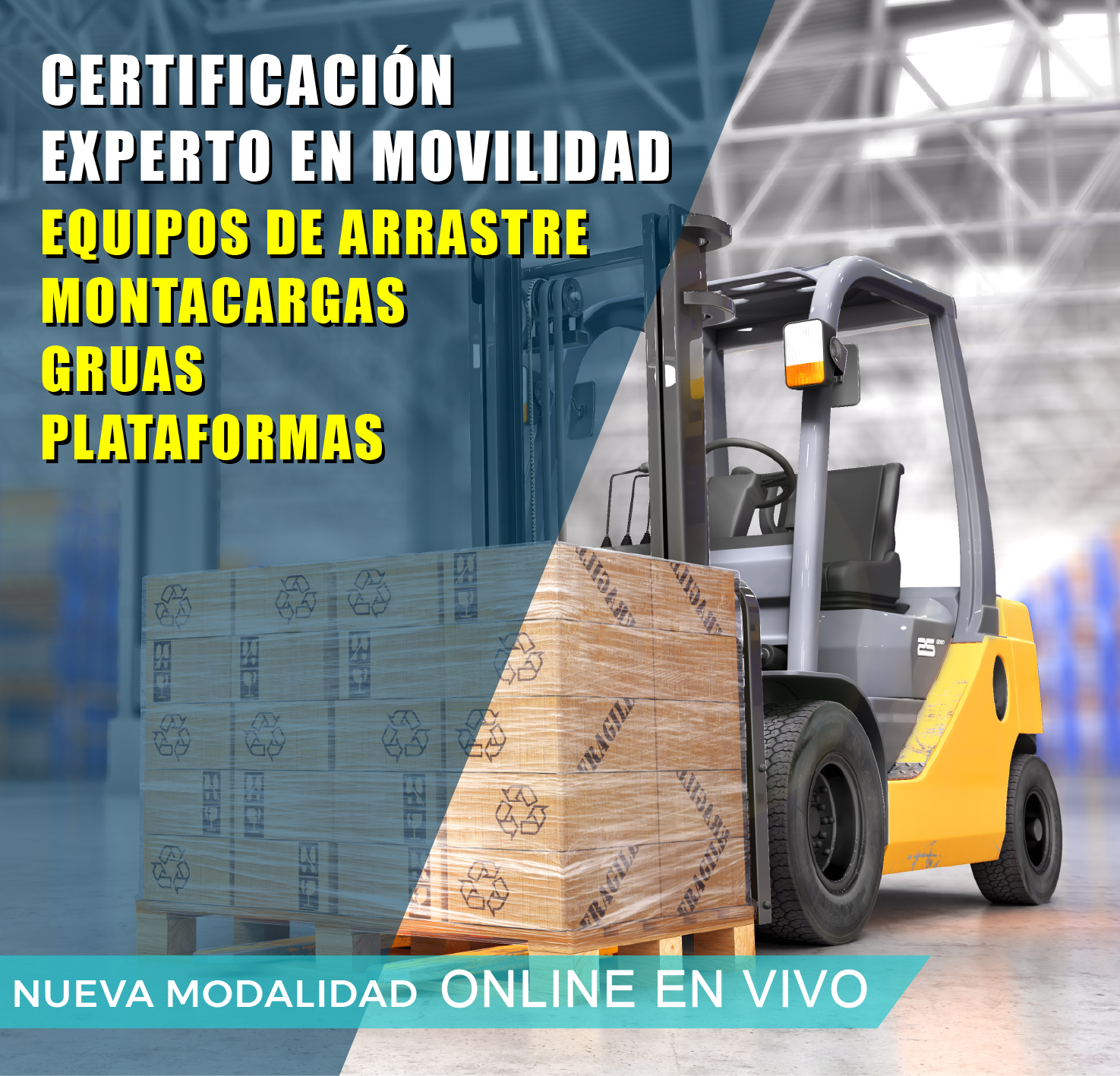 Certificación: Experto en movilidad, montacargas, grúas, plataformas y equipos de arrastre.