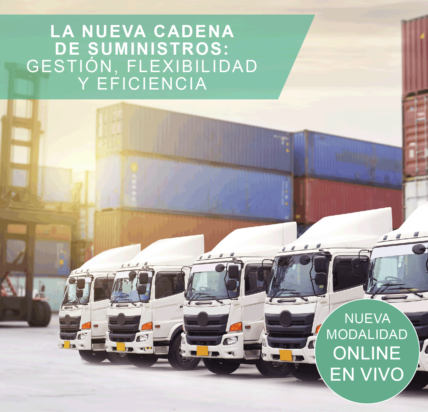 LA NUEVA CADENA DE SUMINISTROS: GESTION, FLEXIBILIDAD Y EFICIENCIA.