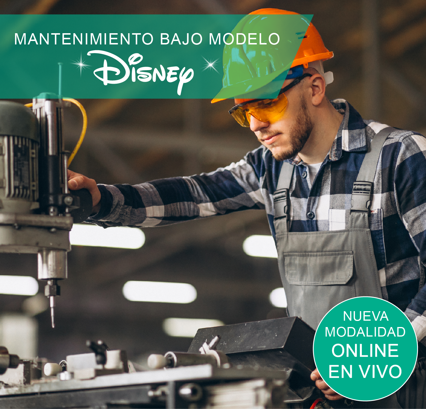 MANTENIMIENTO BAJO MODELO DISNEY