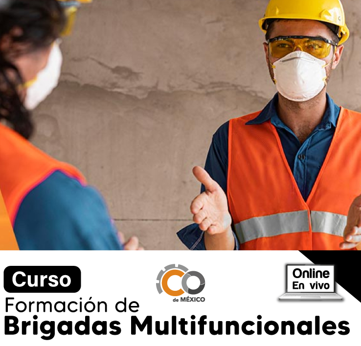 FORMACION DE BRIGADAS MULTIFUNCIONALES