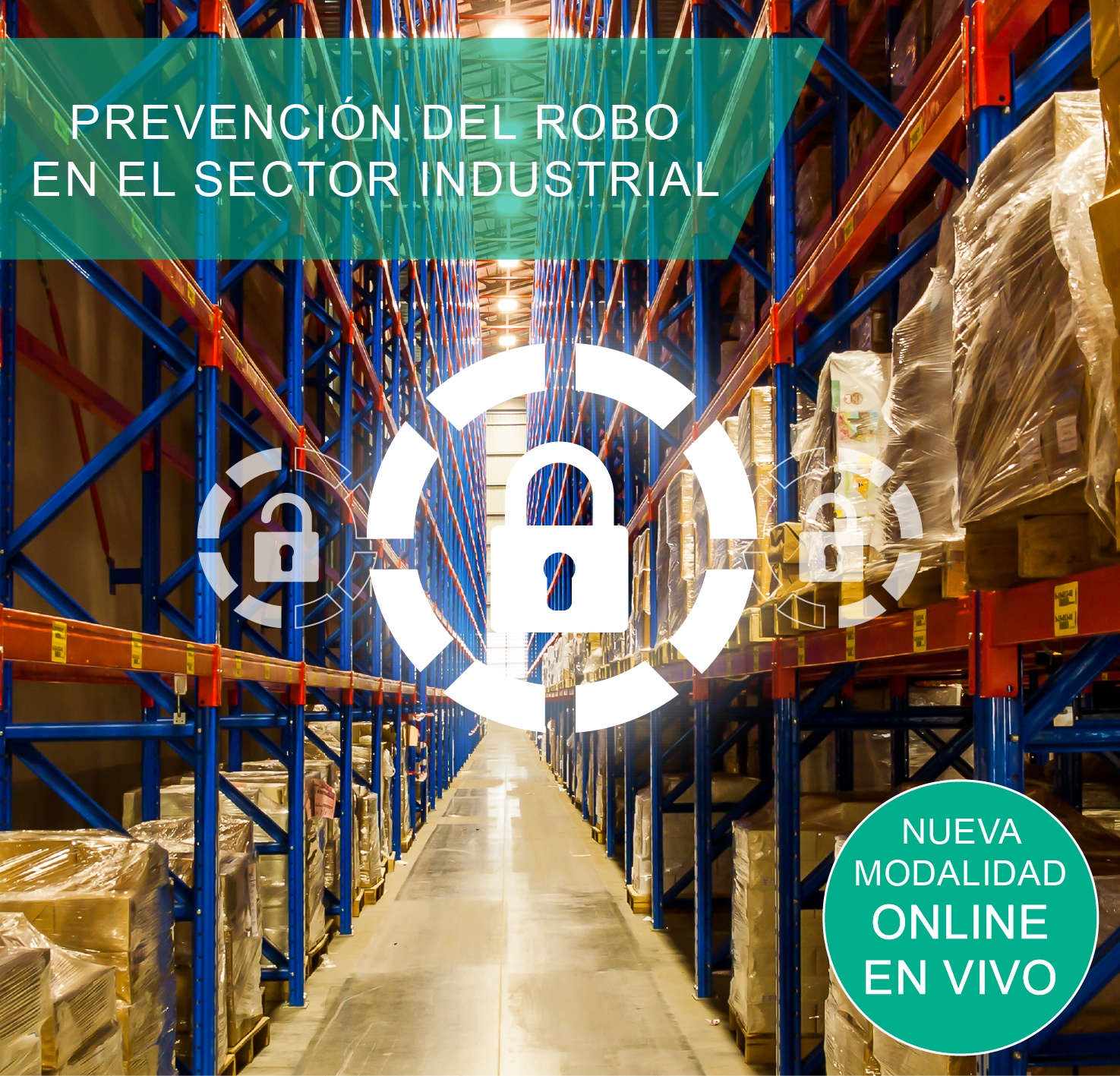 PREVENCION DEL ROBO EN EL SECTOR INDUSTRIAL