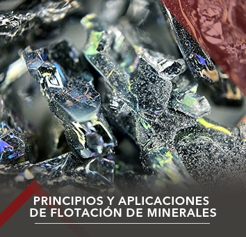 Principios y Aplicaciones de Flotación de Minerales
